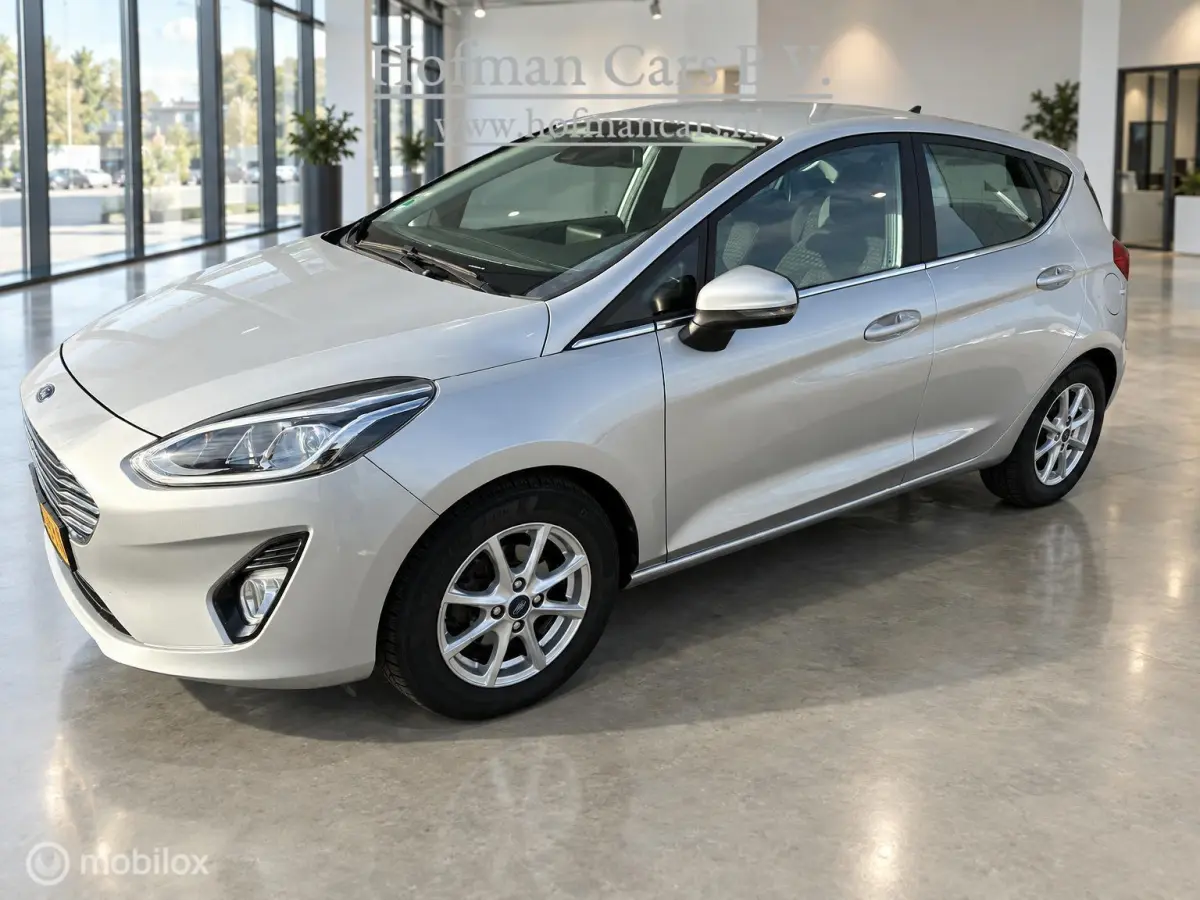 1.0 EcoBoost Titanium | 01/2021 | 128.775km | Zilver Metallic