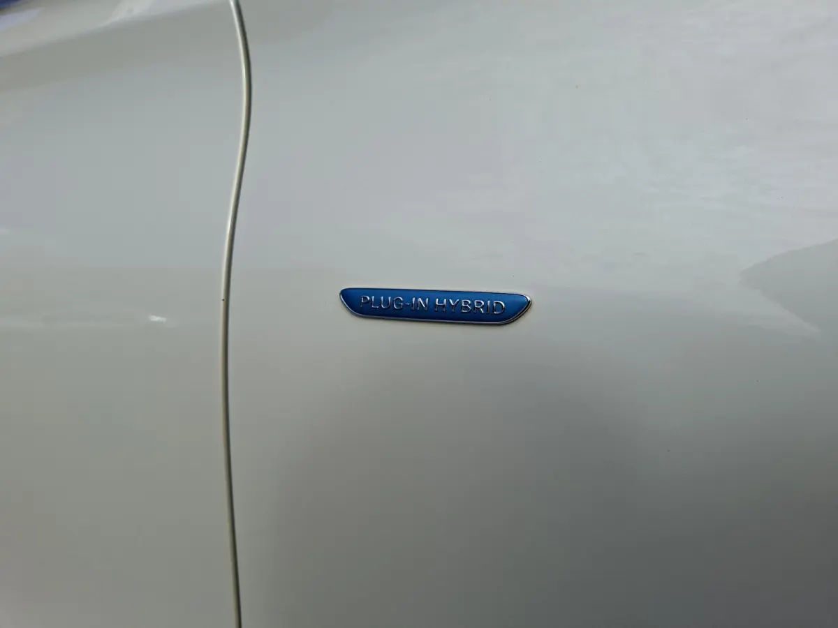 350 e PHEV Adaptive Cruise Dealer onderh. Lederen int. Camera Luchtvering org.NL auto