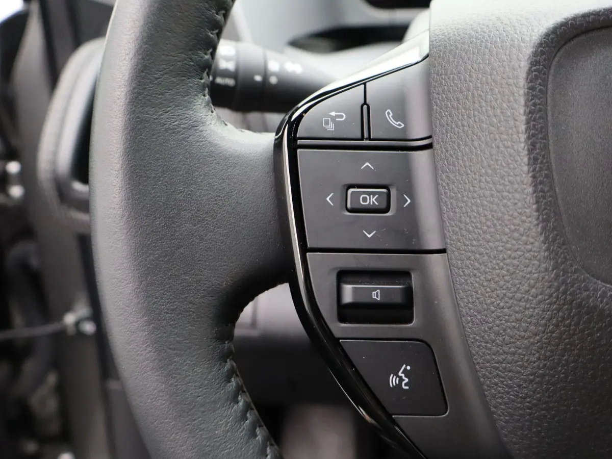 Premium 71 kWh | Adaptieve Cruise Control | JBL Audio | Lederen Bekl. |