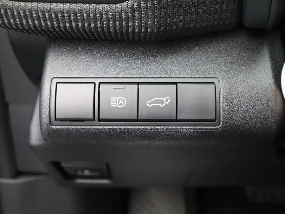 Premium 71 kWh | Adaptieve Cruise Control | JBL Audio | Lederen Bekl. |