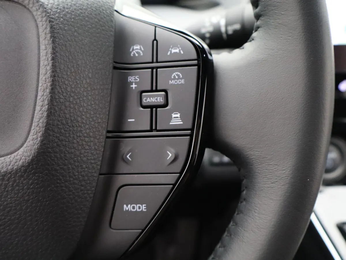 Premium 71 kWh | Adaptieve Cruise Control | JBL Audio | Lederen Bekl. |