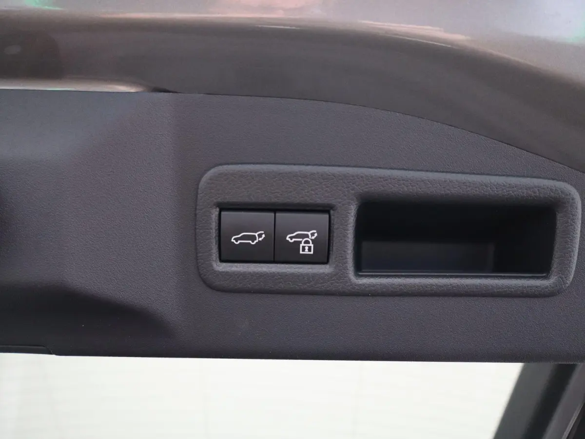 Premium 71 kWh | Adaptieve Cruise Control | JBL Audio | Lederen Bekl. |