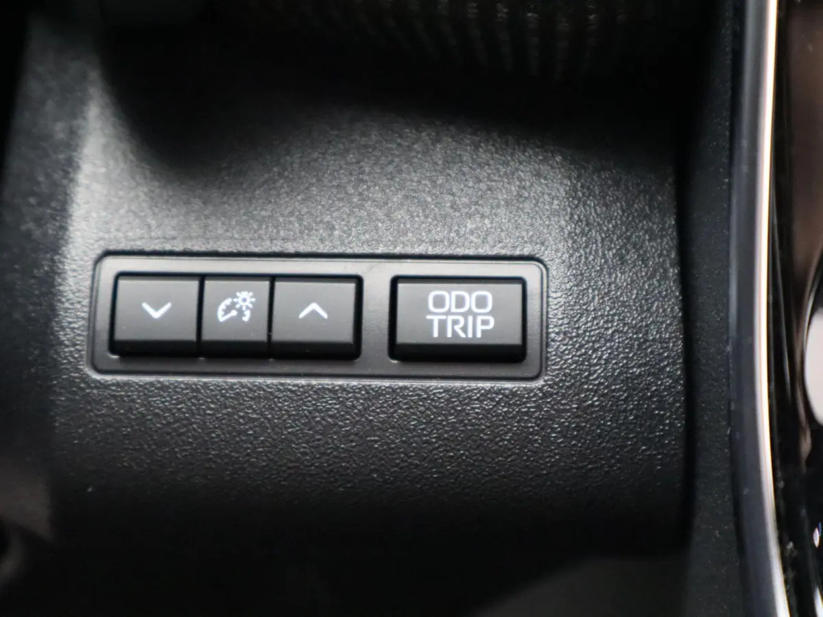 Premium 71 kWh | Adaptieve Cruise Control | JBL Audio | Lederen Bekl. |
