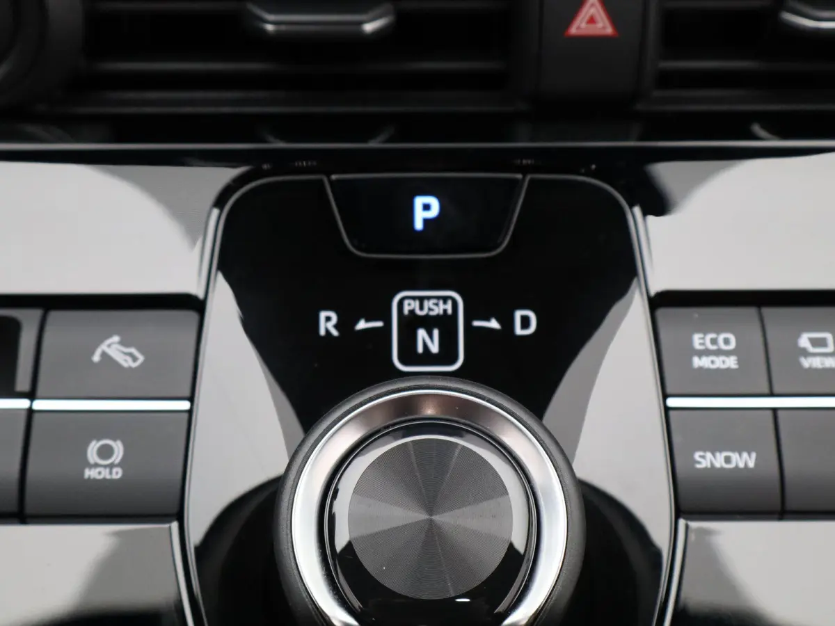 Premium 71 kWh | Adaptieve Cruise Control | JBL Audio | Lederen Bekl. |
