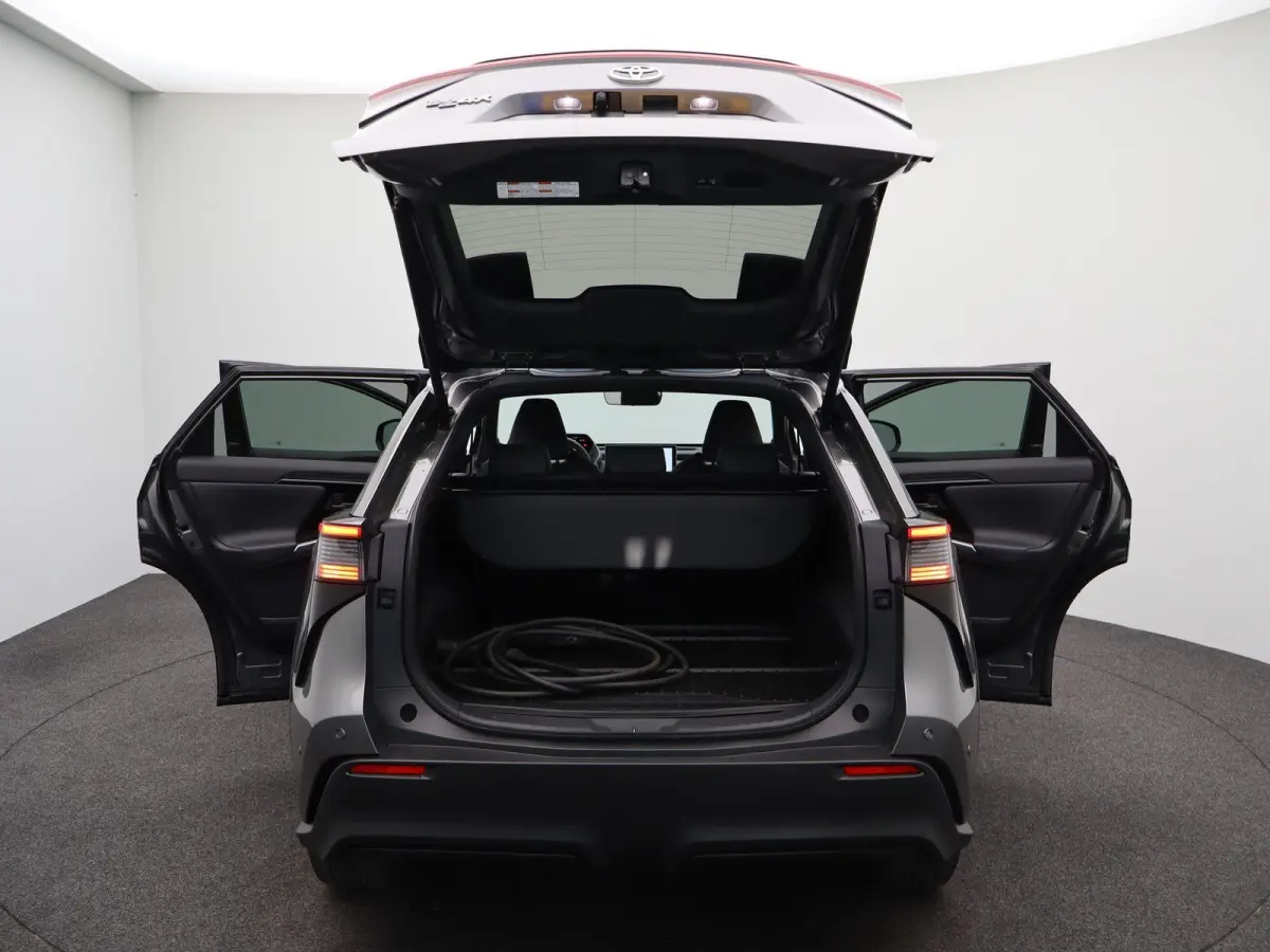 Premium 71 kWh | Adaptieve Cruise Control | JBL Audio | Lederen Bekl. |