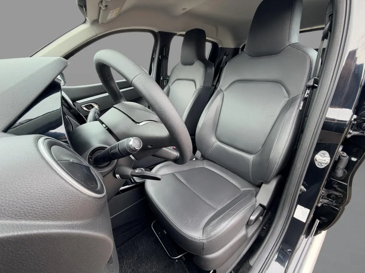 Expression 27 kWh SoH 93,1% | Apple & Android | Navigatie | Lederen Bekleding | NL Auto | Dealeronderhouden |