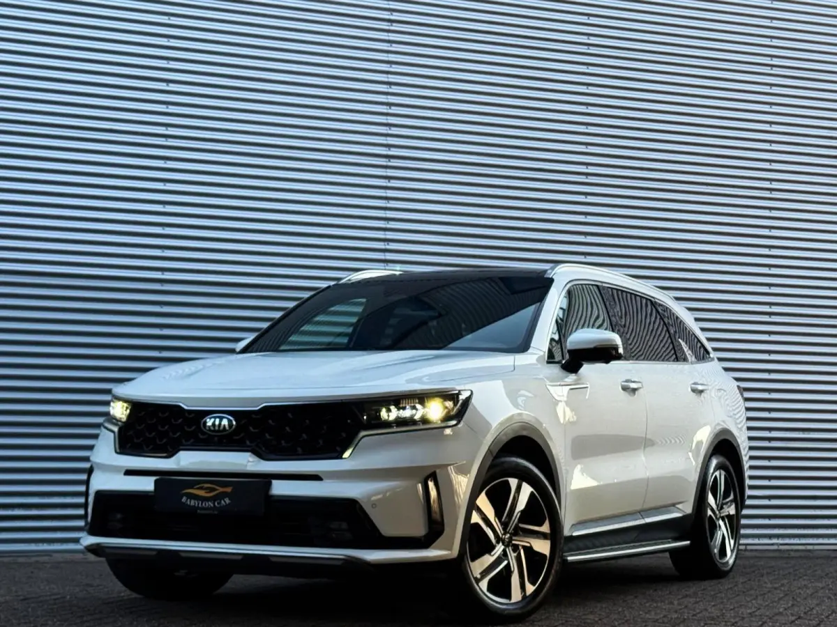 1.6 TGDI Hybrid Emotion P. Luxury 2WD 7p./360 camera/Panodak