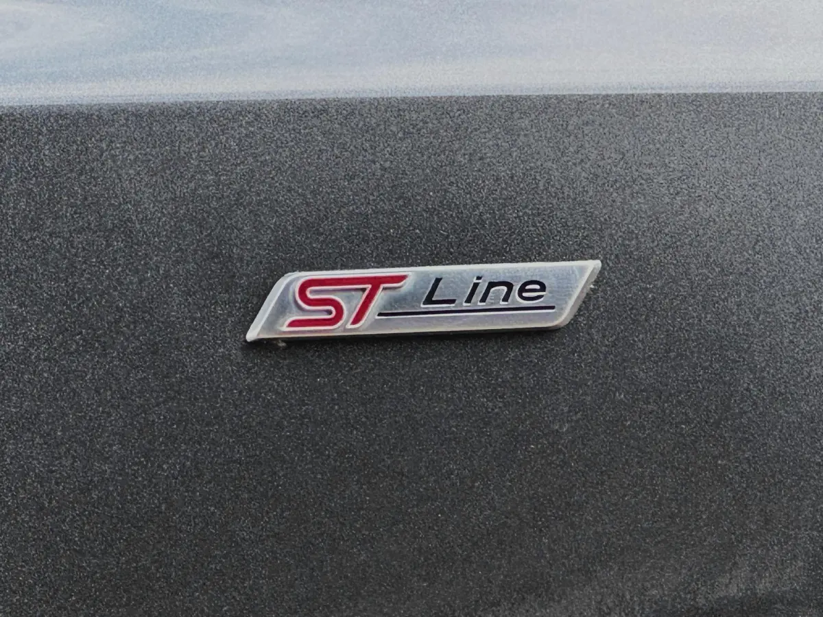 1.0 EcoBoost Hybrid ST Line/stuurver/stoelver