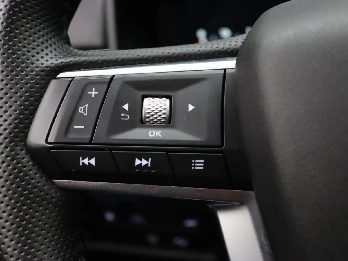 306pk PHEV First Edition Apple Carplay/Android Auto | Climate