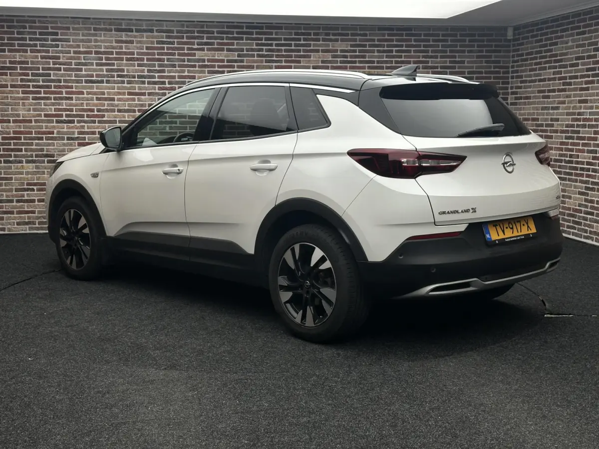 1.2 Turbo Business Executive |Elektrische achterklep
