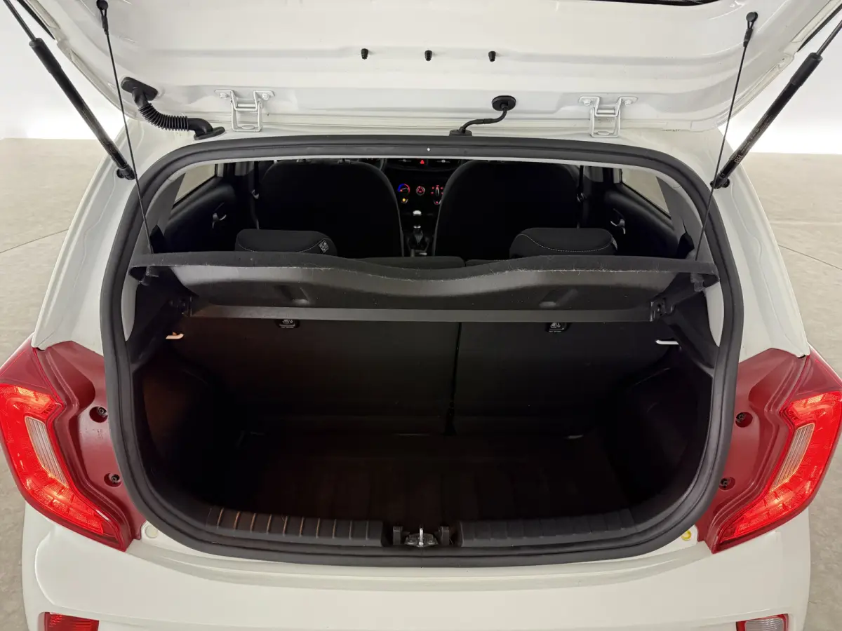 1.0 DPi DynamicLine | Airco | Cruise | Camera | Carplay | NAP