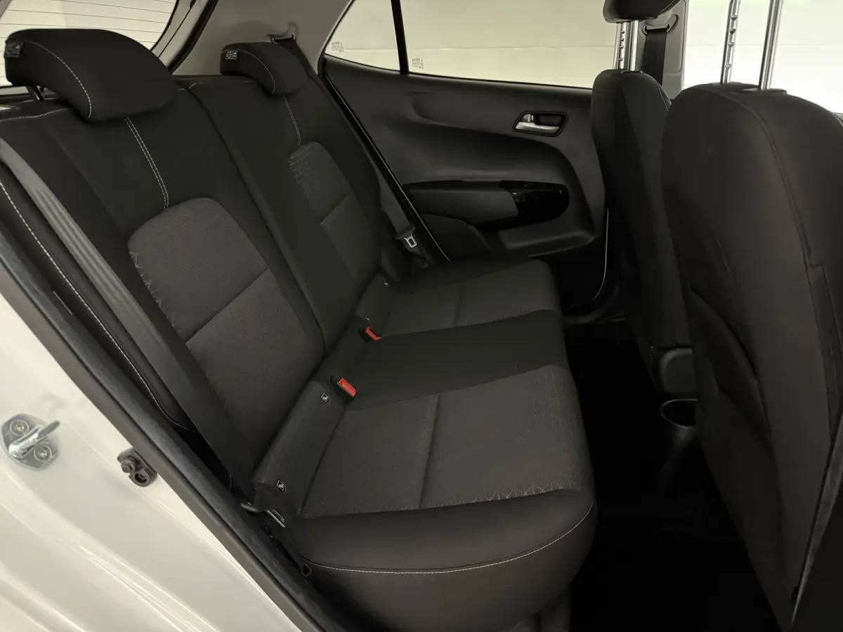 1.0 DPi DynamicLine | Airco | Cruise | Camera | Carplay | NAP
