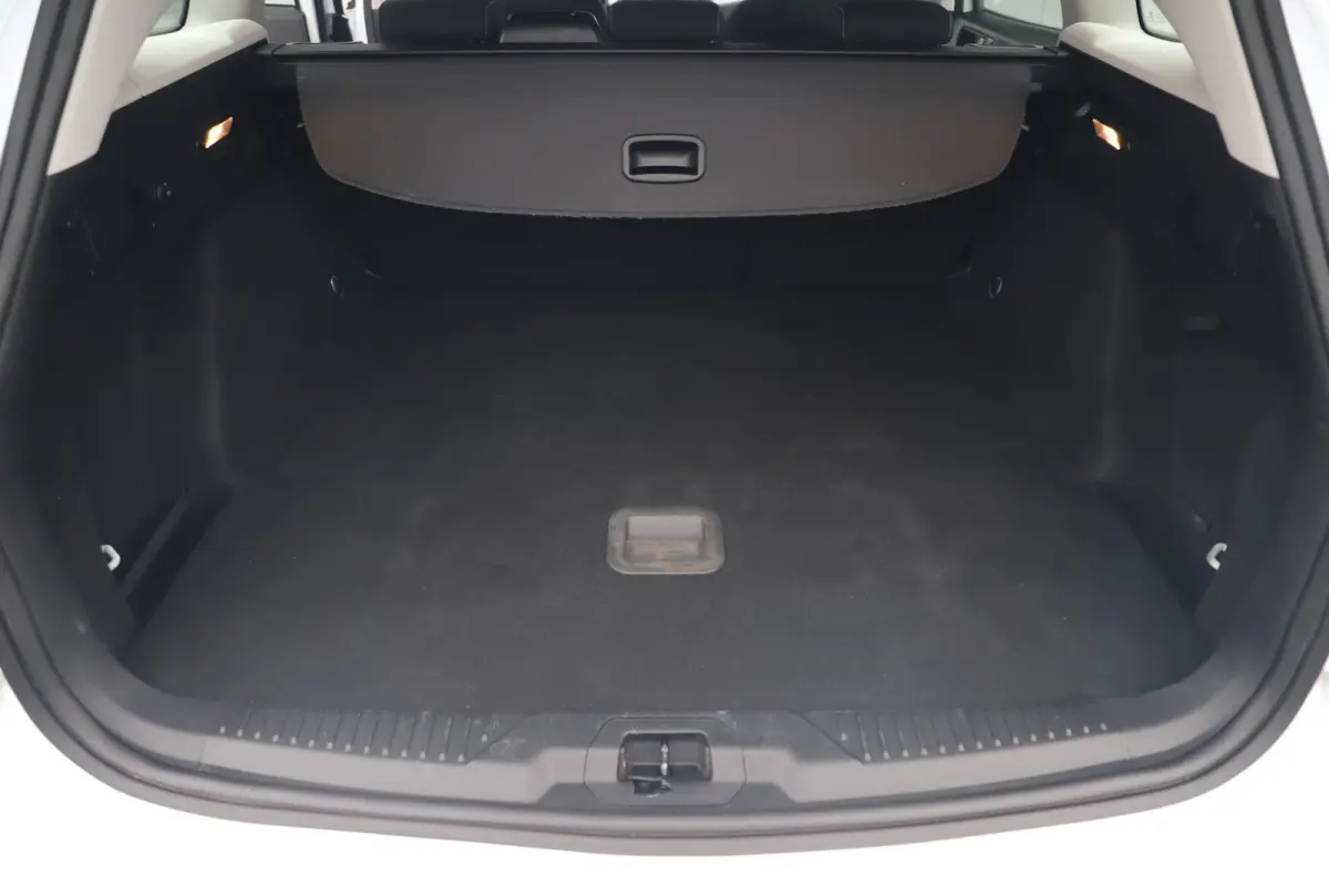 1.0 EcoBoost Trend Edition Business Navigatie Clima Cruise 16 inch LMV Parkeersensors Lane Assist Keyless