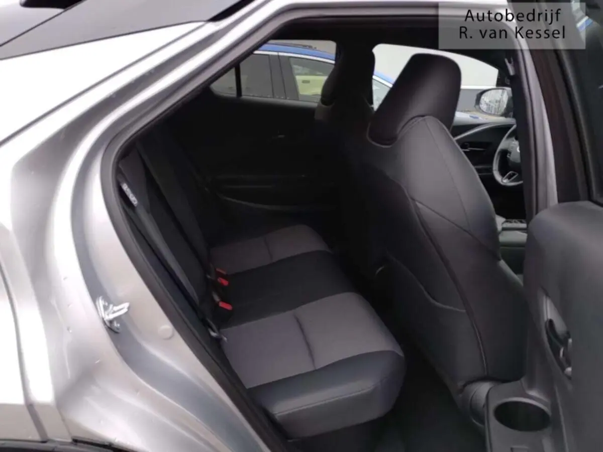 2.0 Plug-in Hybrid 220 Executive I Panoramadak I JBL I Memory I NL-auto