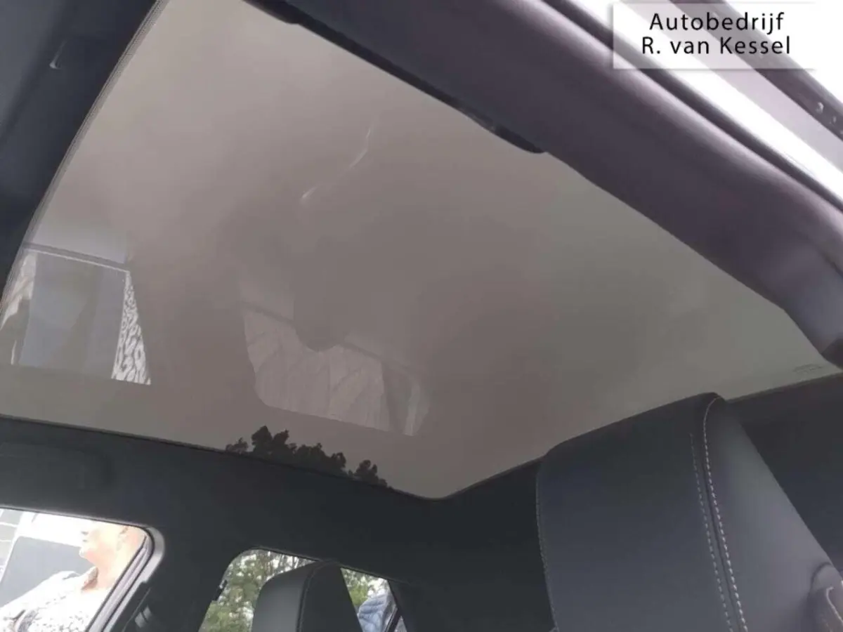 2.0 Plug-in Hybrid 220 Executive I Panoramadak I JBL I Memory I NL-auto