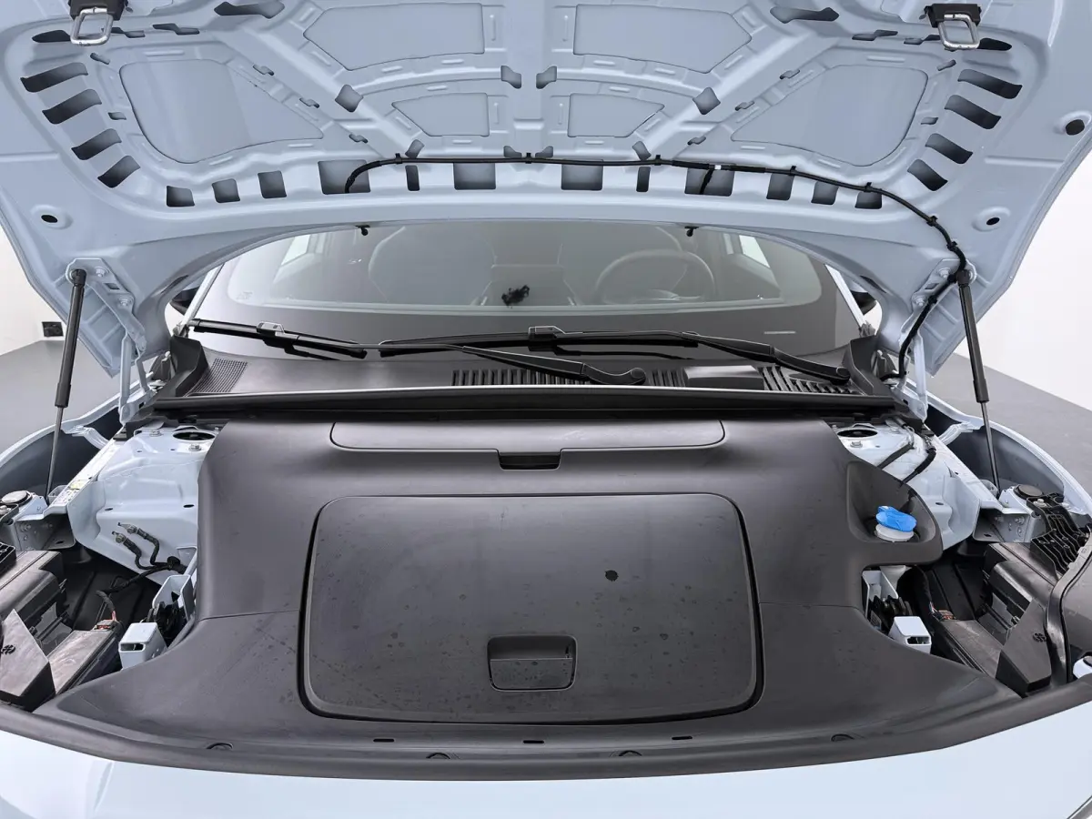 Single Motor Core 51 kWh | SOH 98,8% | 337 km WLTP | Adaptieve Cruise | CarPlay |