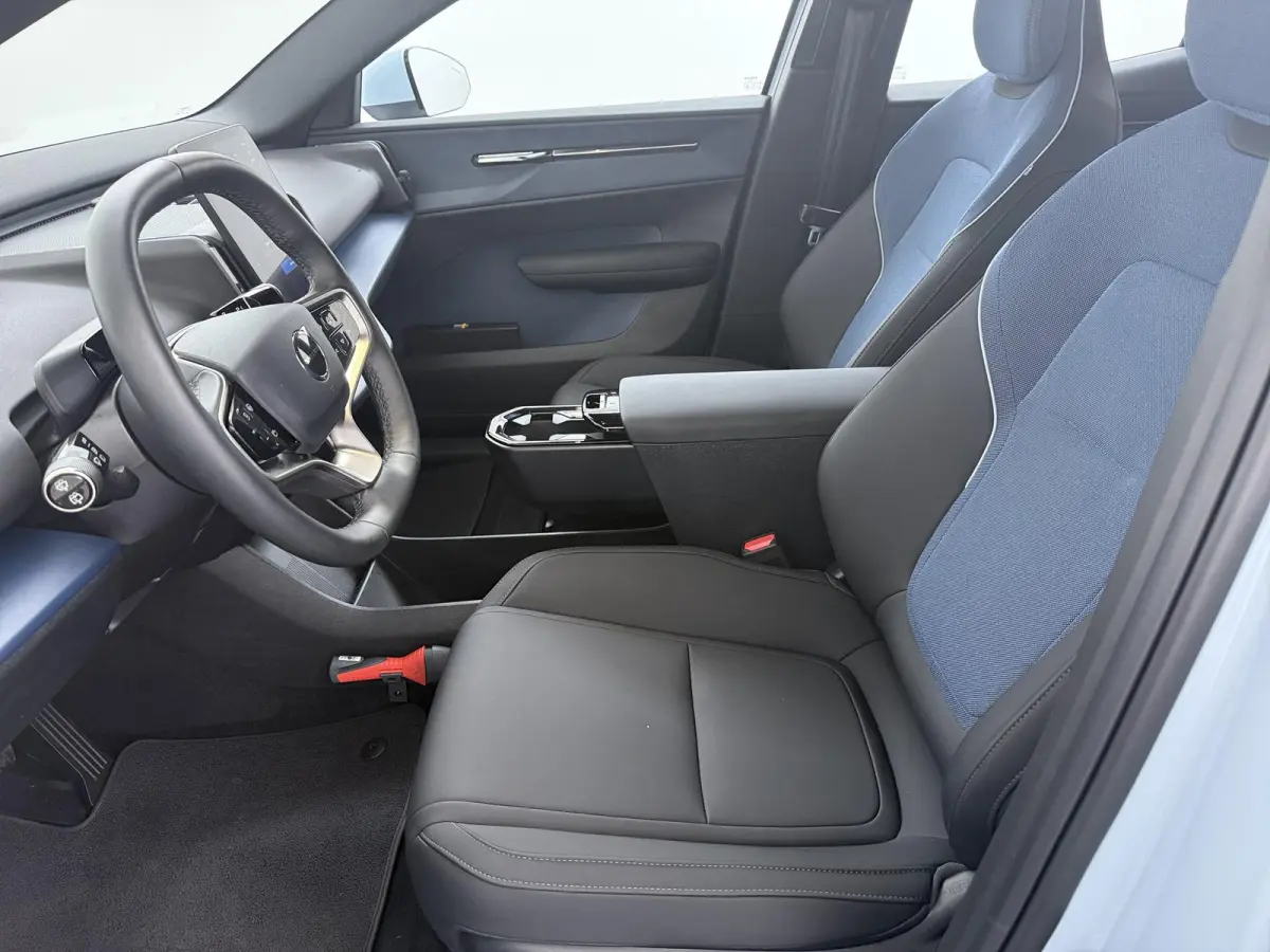 Single Motor Core 51 kWh | SOH 98,8% | 337 km WLTP | Adaptieve Cruise | CarPlay |