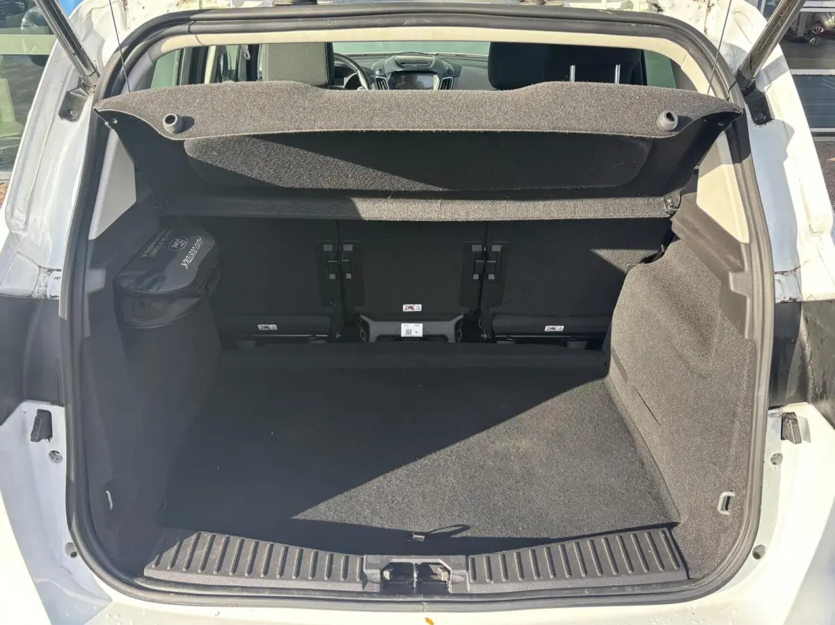 1.0 Titanium 125PK Panodak Cruise Elek. Achterklep Verwarmde Voorruit Navi Climate Parkeersensoren Achter Carplay *Dealer Onderhouden*