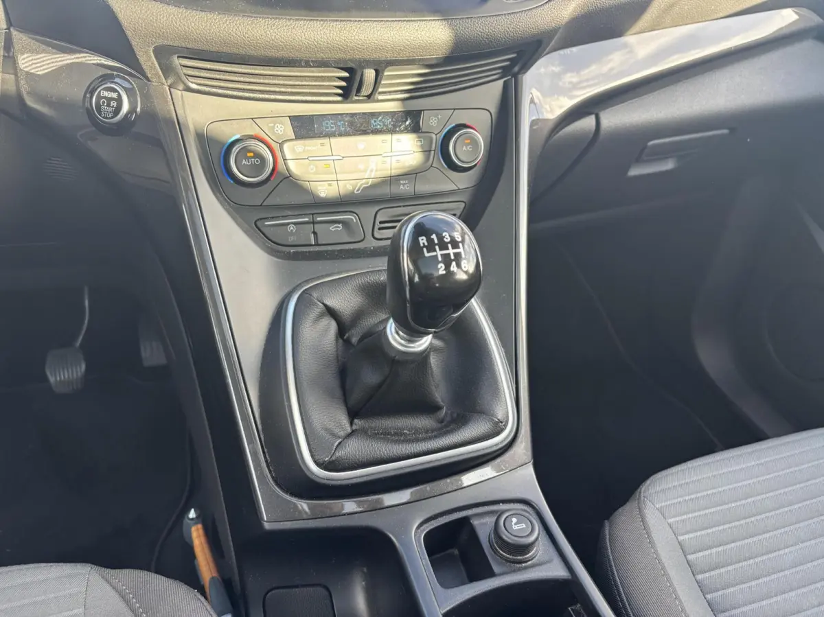 1.0 Titanium 125PK Panodak Cruise Elek. Achterklep Verwarmde Voorruit Navi Climate Parkeersensoren Achter Carplay *Dealer Onderhouden*