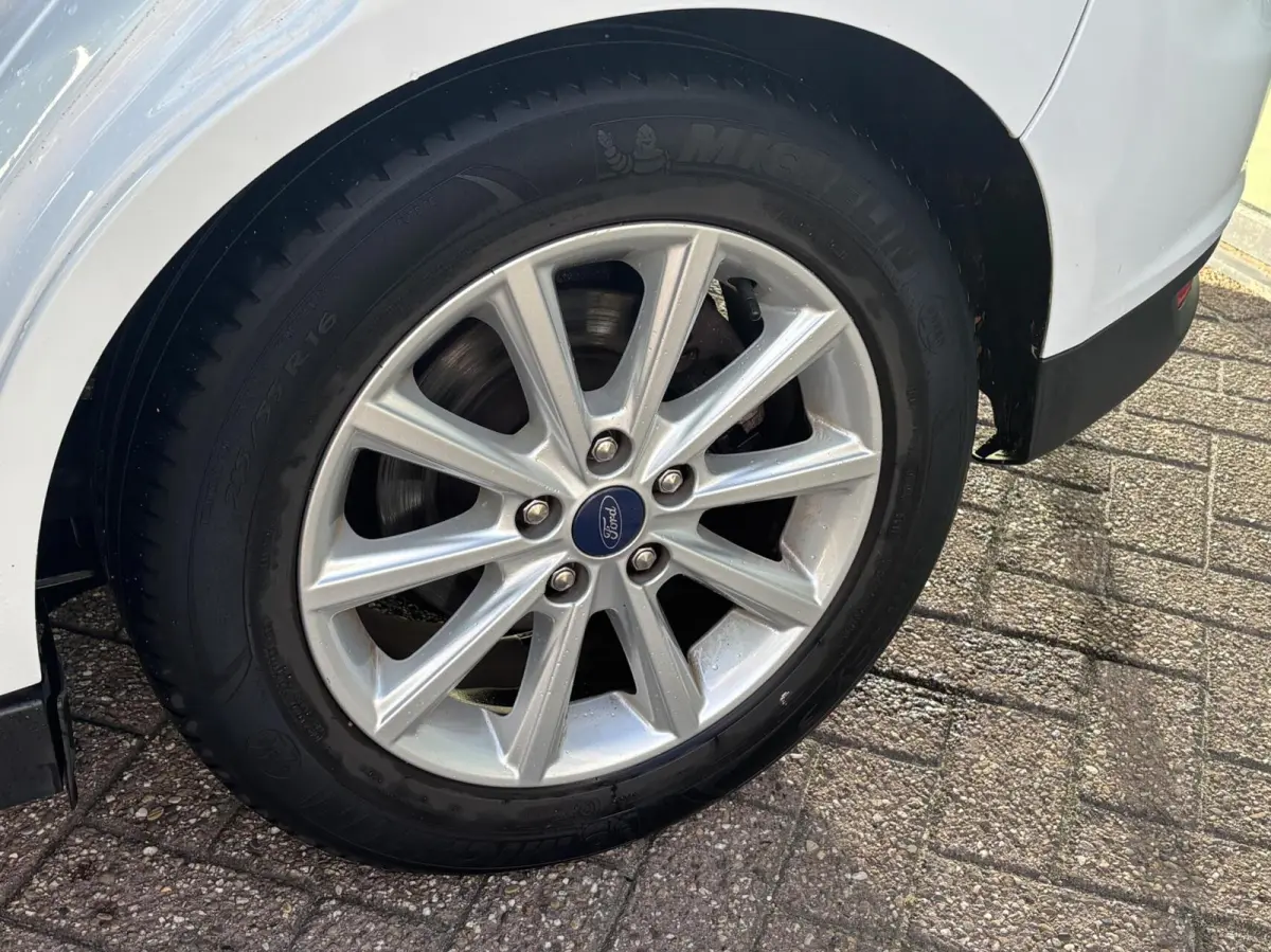 1.0 Titanium 125PK Panodak Cruise Elek. Achterklep Verwarmde Voorruit Navi Climate Parkeersensoren Achter Carplay *Dealer Onderhouden*