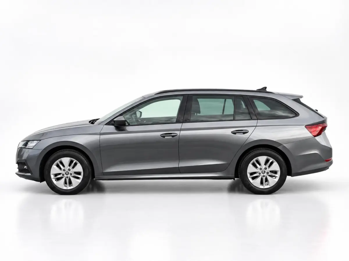 1.0 e-TSI 110pk DSG Business Edition | Navigatie | Stoelverwarming | Trekhaak