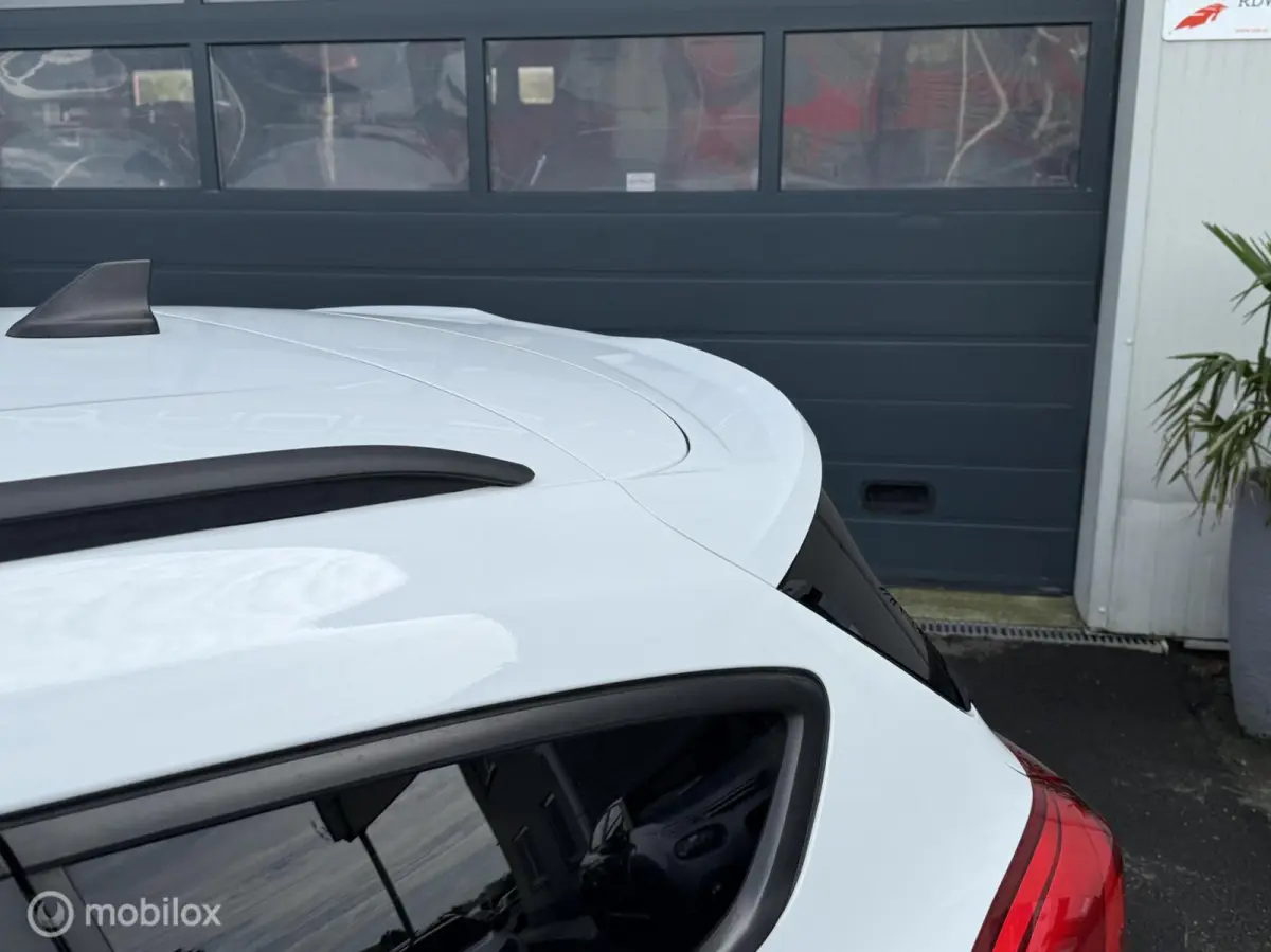 1.0 EcoBoost Hybrid ST Line X Business B&O