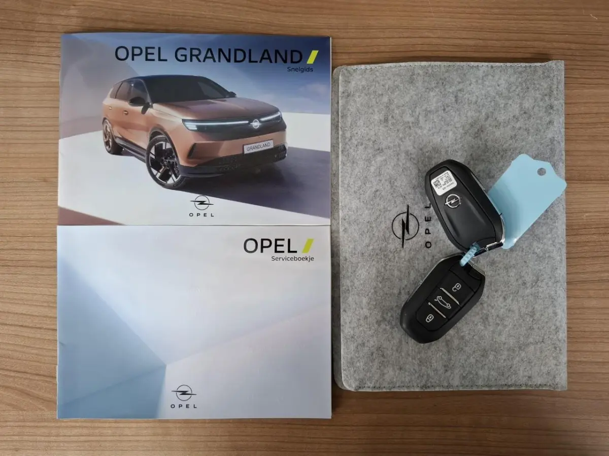 Business Edition 97 kWh Leder | Panoramadak