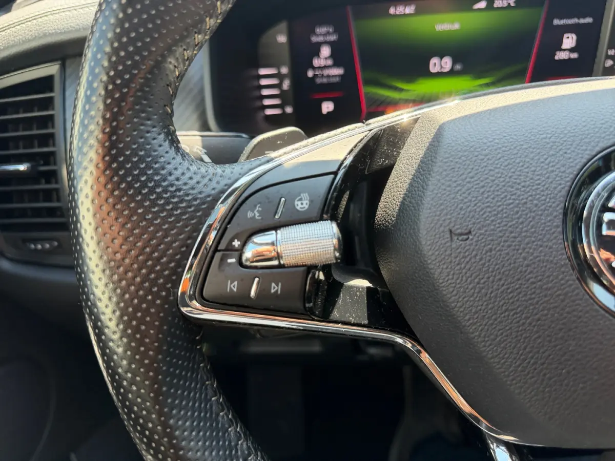 1.5 TSI RS Sportline Business Aut- 7 Pers, Panoramadak, Sfeerverlichting, Elek Trekhaak, Stuur/Stoelverwarming