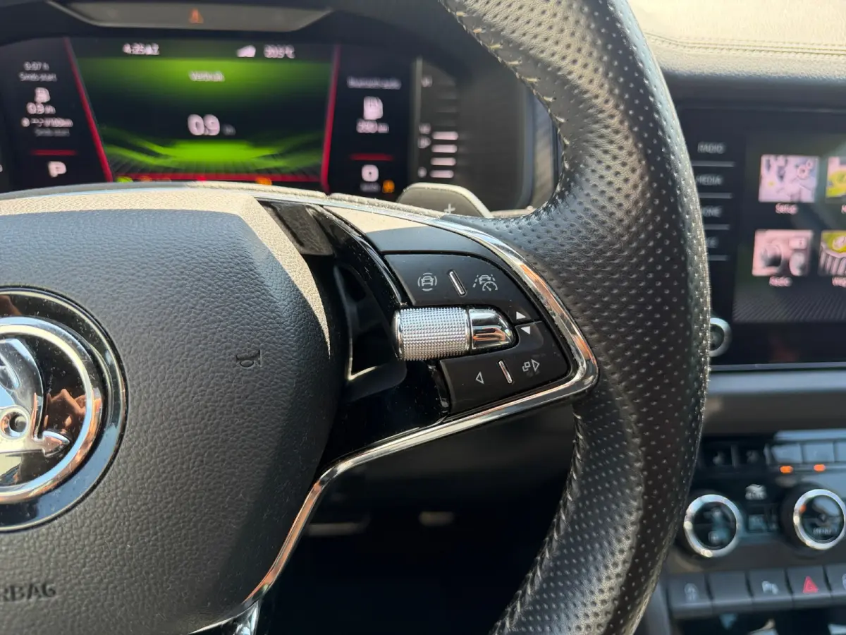 1.5 TSI RS Sportline Business Aut- 7 Pers, Panoramadak, Sfeerverlichting, Elek Trekhaak, Stuur/Stoelverwarming