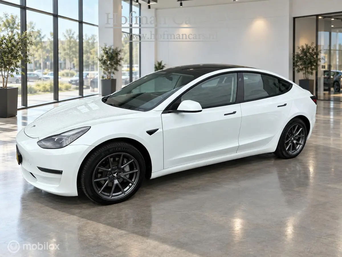 Long Range AWD 75 kWh | DUAL MOTOR | TREKHAAK 1.000 KG | WARMTEPOMP | SOH 84,8%