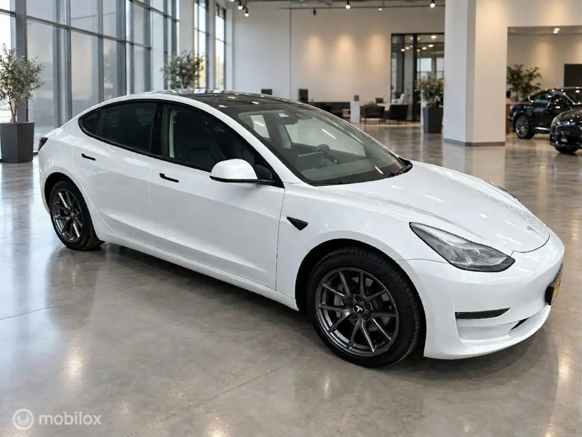 Long Range AWD 75 kWh | DUAL MOTOR | TREKHAAK 1.000 KG | WARMTEPOMP | SOH 84,8%
