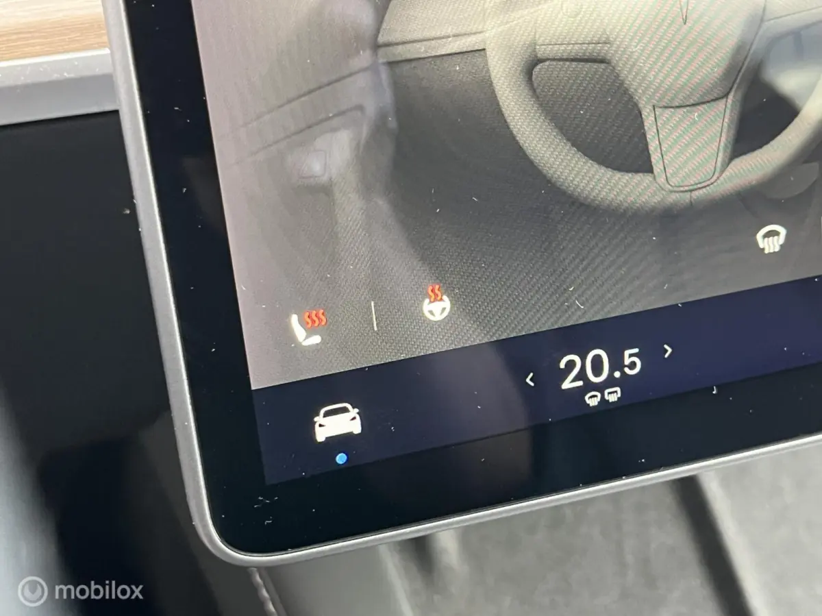 Long Range AWD 75 kWh, FSD , Trekhaak, Netjes