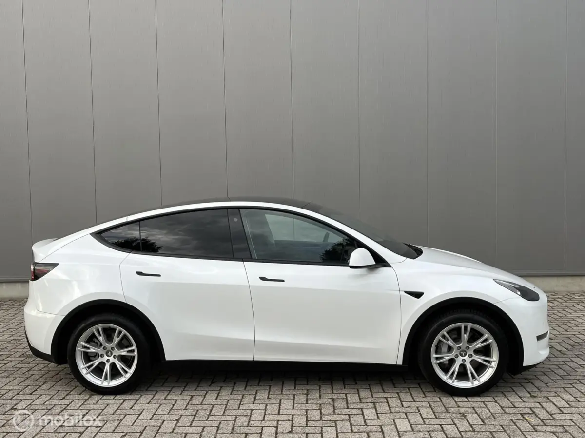 Long Range AWD 75 kWh, FSD , Trekhaak, Netjes