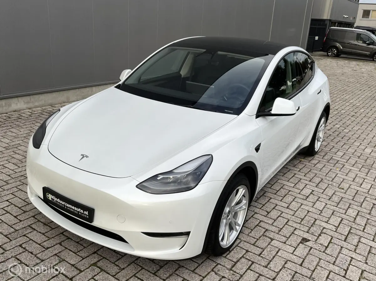 Long Range AWD 75 kWh, FSD , Trekhaak, Netjes