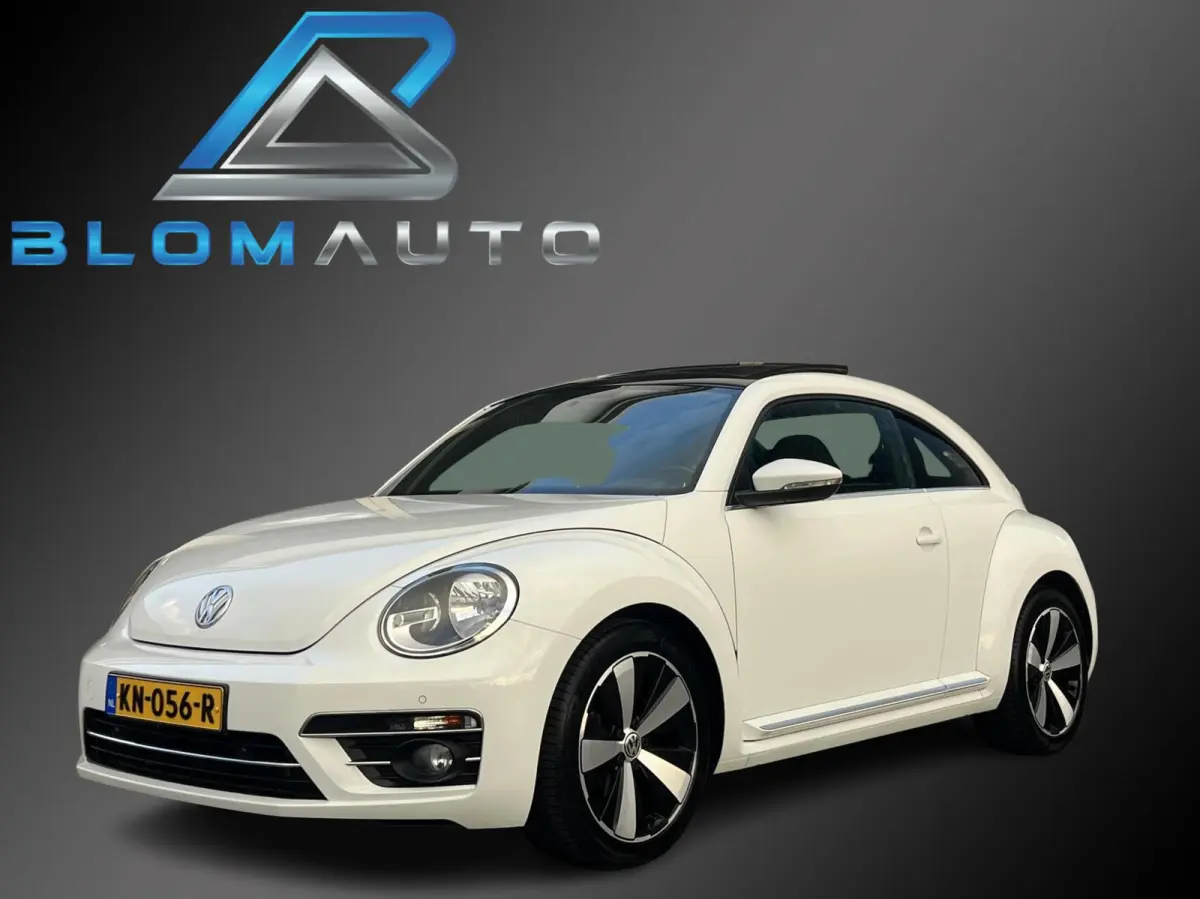 TSI SCHUIFDAK+18INCH NL AUTO 1E EIGENAAR!
