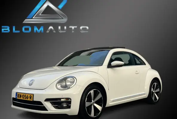 TSI SCHUIFDAK+18INCH NL AUTO 1E EIGENAAR!