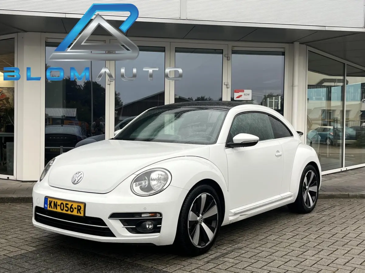 TSI SCHUIFDAK+18INCH NL AUTO 1E EIGENAAR!
