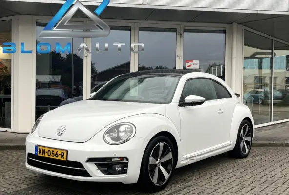 TSI SCHUIFDAK+18INCH NL AUTO 1E EIGENAAR!