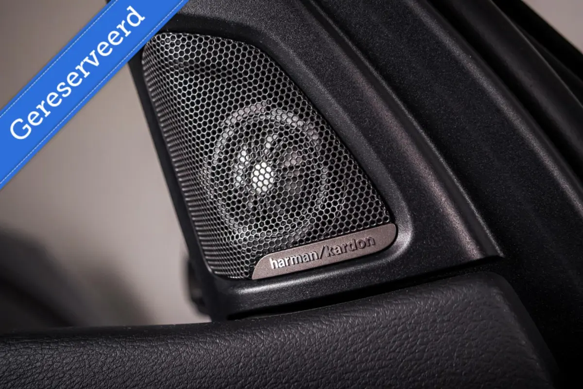 xDrive35i High Executive|HUD|H&K|Night Vision|SoftClose|360 Cam|Comfortstoelen|Keyless