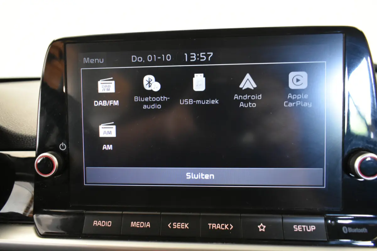 1.0 DPi Dynamic All Season banden Camera Cruise Carplay
