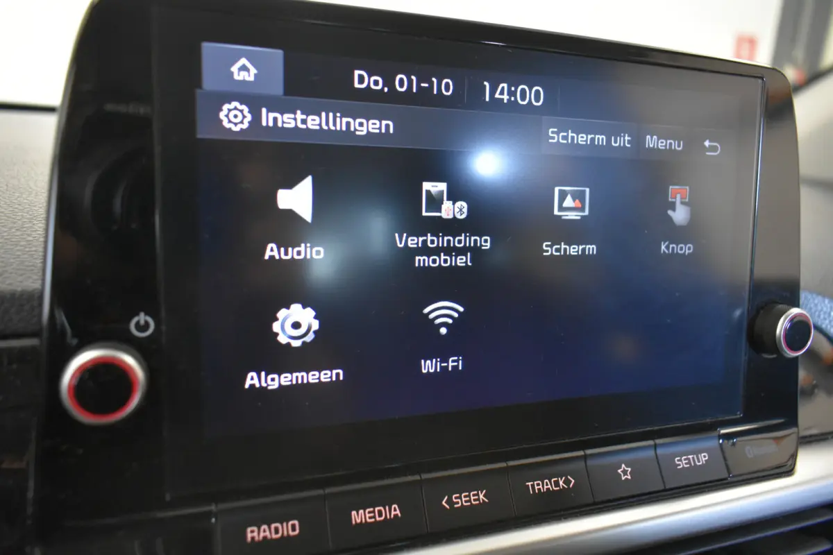 1.0 DPi Dynamic All Season banden Camera Cruise Carplay