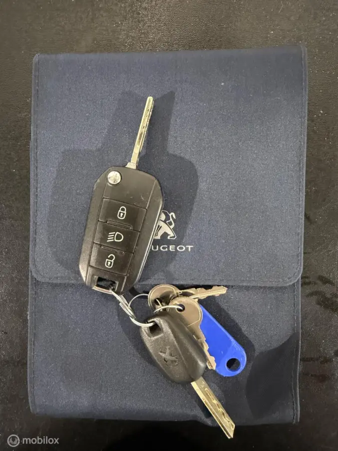 1.2 PureTech Blue Lion AIRCO/CRUISE/NAP/1eEIG