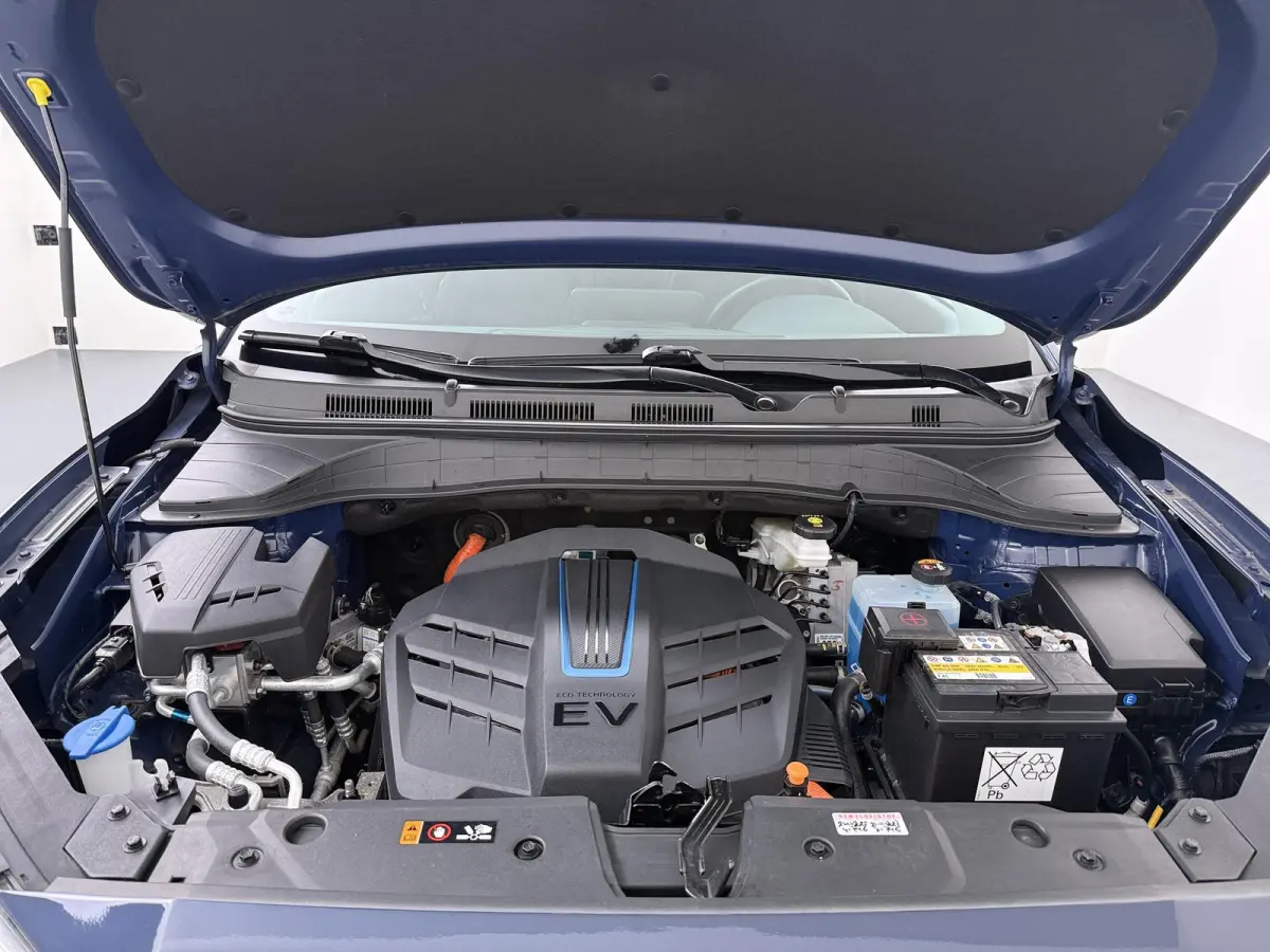EV Comfort 64 kWh | SOH 96,7% | Trekhaak | Navigatie |