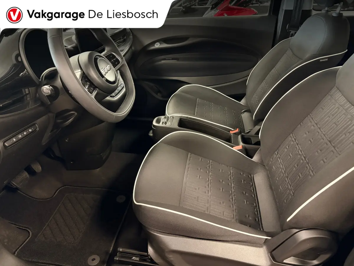 Icon 42 kWh / Clima / carplay /lichtmetalen velgen/cruisec.