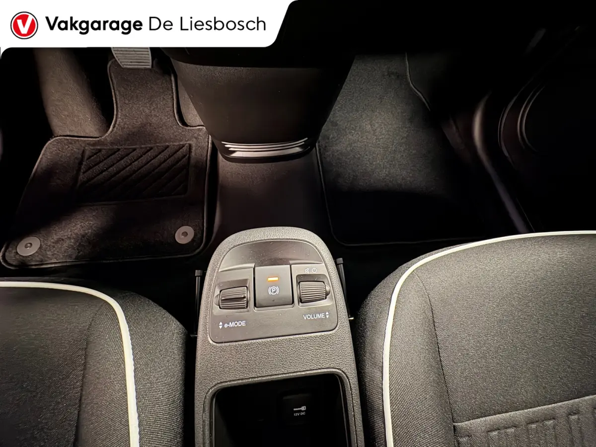 Icon 42 kWh / Clima / carplay /lichtmetalen velgen/cruisec.