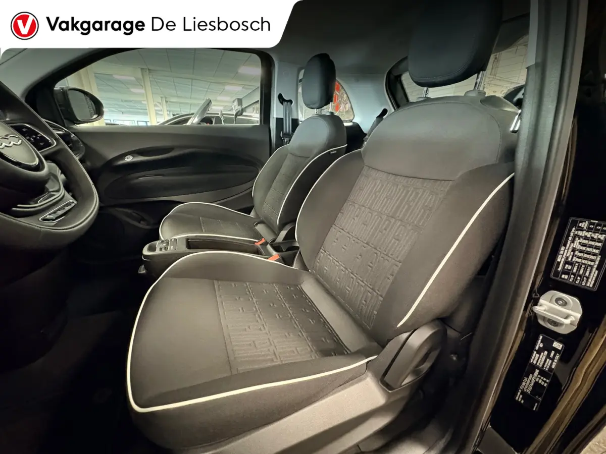 Icon 42 kWh / Clima / carplay /lichtmetalen velgen/cruisec.