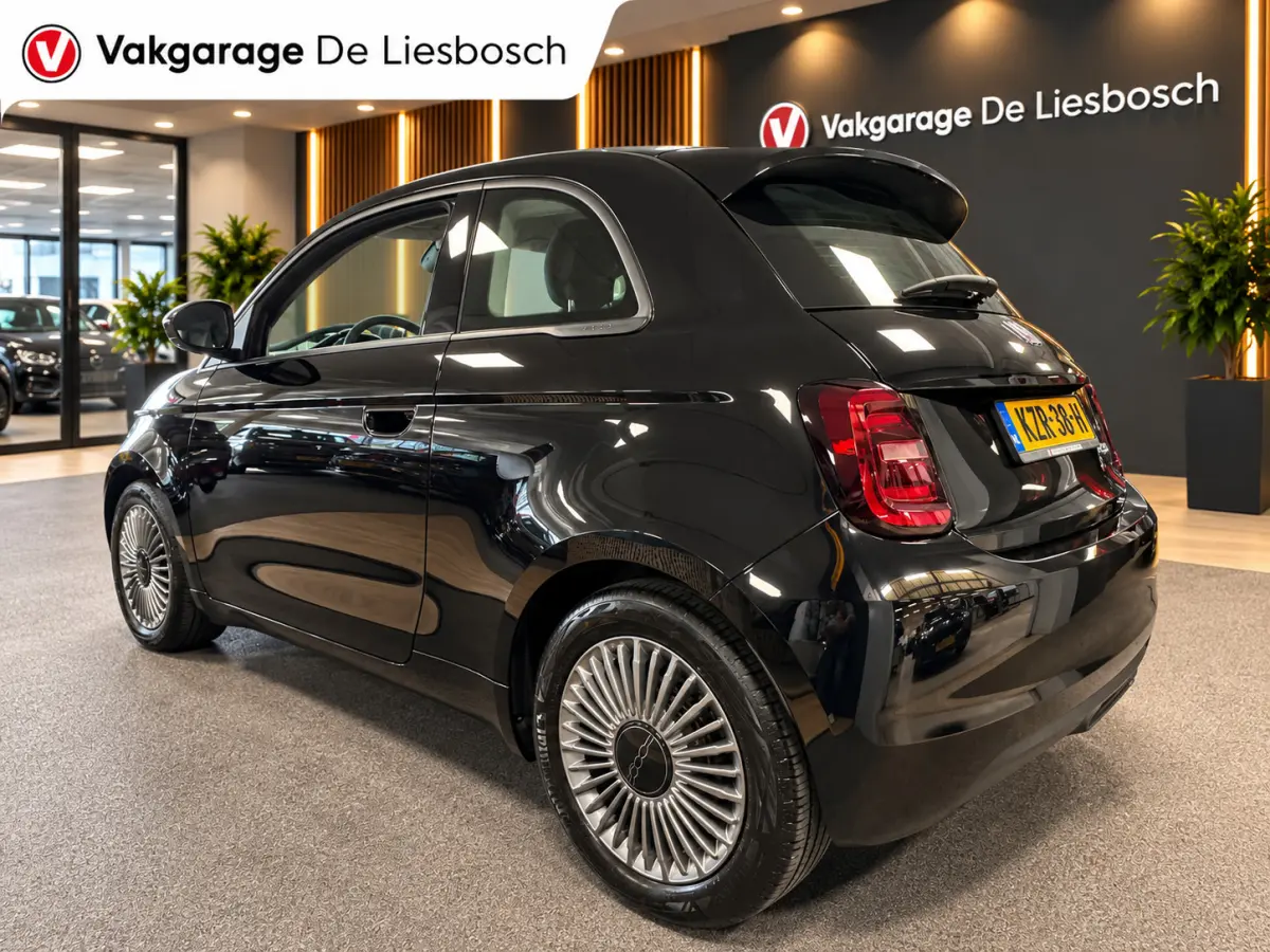 Icon 42 kWh / Clima / carplay /lichtmetalen velgen/cruisec.