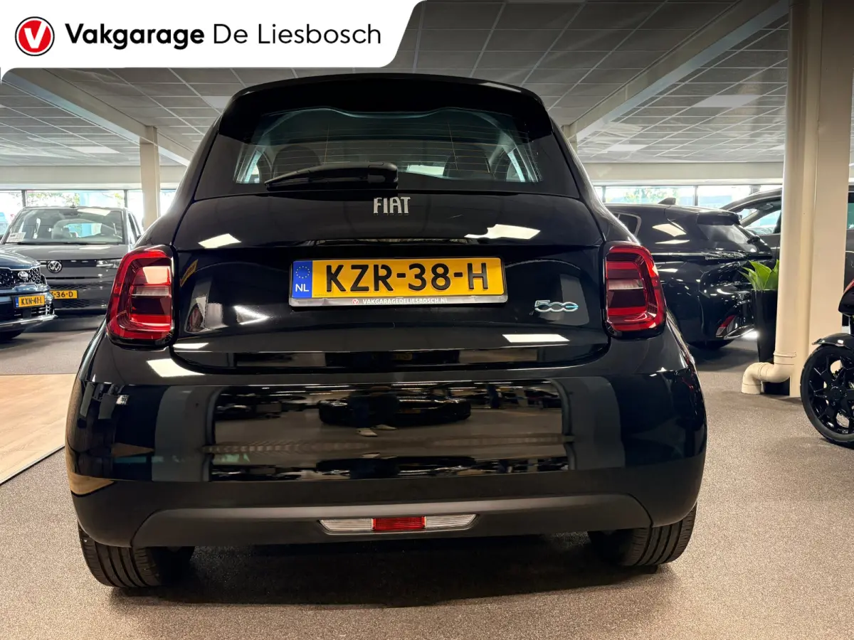 Icon 42 kWh / Clima / carplay /lichtmetalen velgen/cruisec.