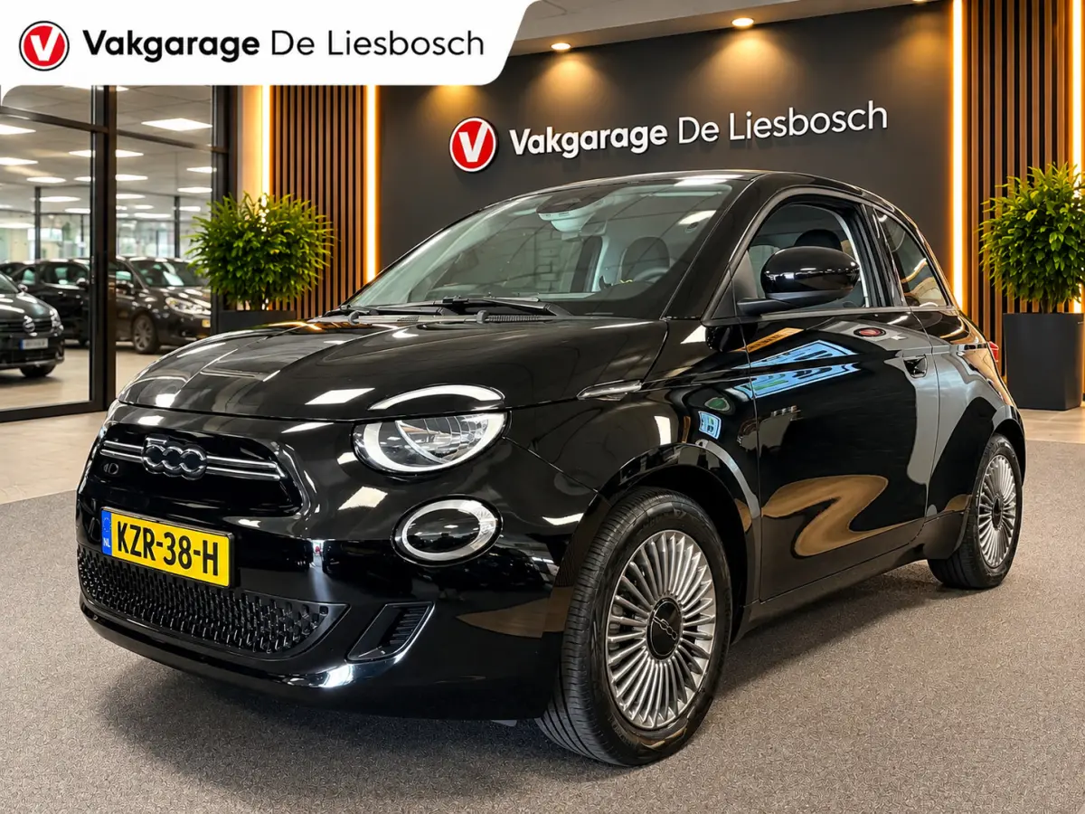 Icon 42 kWh / Clima / carplay /lichtmetalen velgen/cruisec.