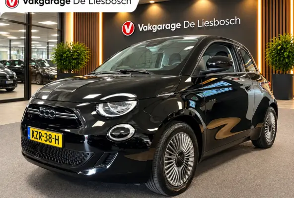 Icon 42 kWh / Clima / carplay /lichtmetalen velgen/cruisec.